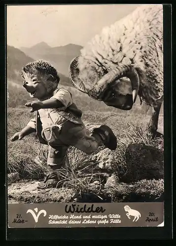 AK Mecki flüchtet vor einem Widder, Sternzeichen Widder