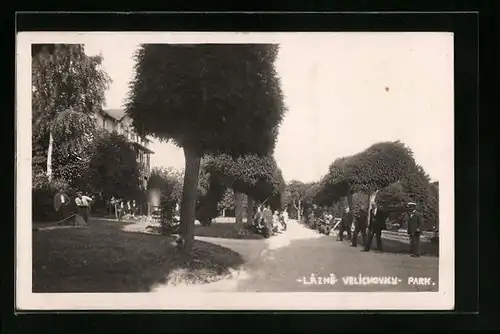 AK Lázne Velichovky, Park