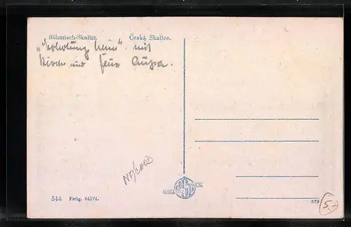 AK Ceská Skalice, Celkový pohled