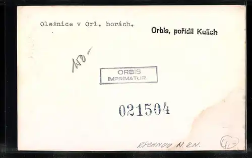 AK Olesnice v Orl. horách, Kostel