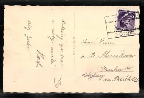 AK Zdice, Celkový pohled