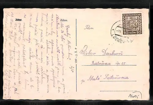 AK Zdice, Celkový pohled