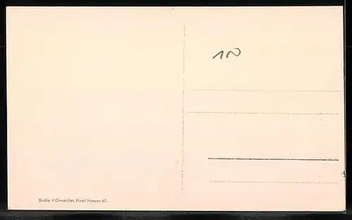 AK Zdice, Celkový pohled