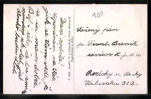 AK Zdice, Celkový pohled