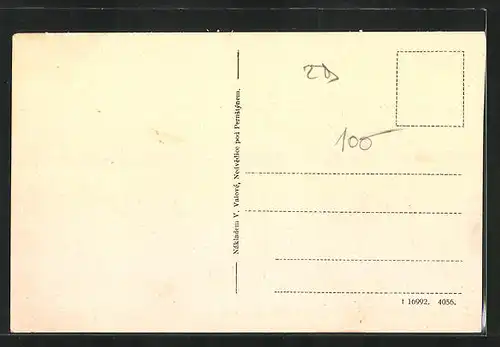 AK Nedvedice, Celkový pohled