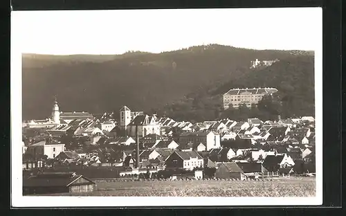 AK Boskovice, Celkový pohled