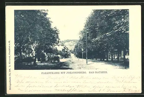 AK Bad Nauheim, Parkstrasse mit Johannisberg