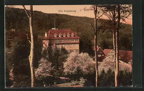 AK Arensburg, Blick auf die Burg