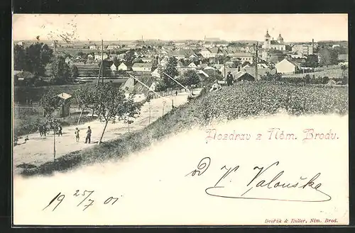 AK Nem. Brod, Celkový pohled