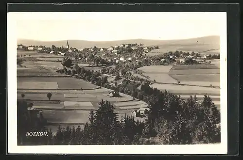 AK Bozkov, Celkový pohled