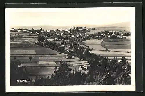 AK Bozkov, Celkový pohled