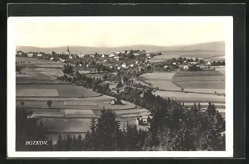 AK Bozkov, Celkový pohled