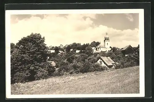 AK Bozkov, Celkový pohled