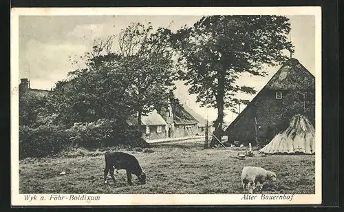 AK Nordseebad Wyk auf Föhr-Boldixum, Alter Bauernhof