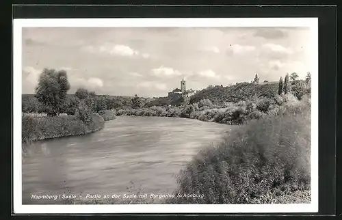 AK Naumburg /Saale, Partie an der Saale mit Burgruine Schönburg