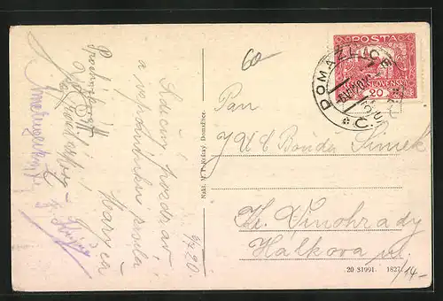 AK Domazlice, Celkovy pohled