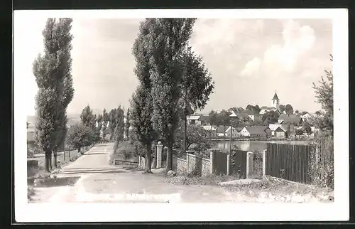 AK Neumark im Böhmerwald, Blick vom Weg zum Ort