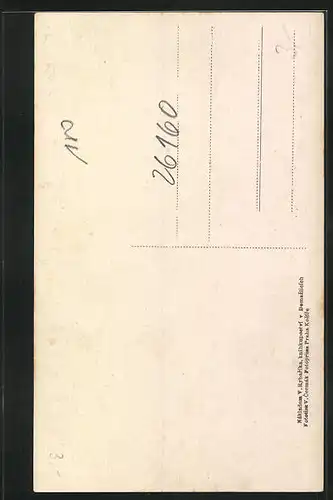 AK Domazlice, Bràna