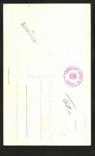 AK Domazlice, Bràna