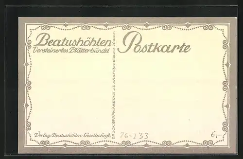 Künstler-AK Ernst E. Schlatter: Beatushöhlen, Versteinertes Blätterbündel