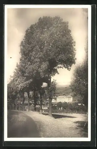 AK Libstát, Blick von der Allee auf den Ort