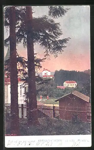 AK Ceska Kubice, Pensionat Krásnohorská od villy Milady