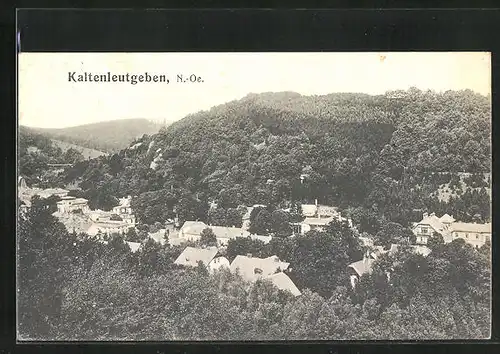 AK Kaltenleutgeben, Totalansicht