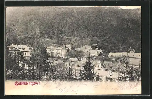 AK Kaltenleutgeben, Ortspartie vom Berg aus gesehen