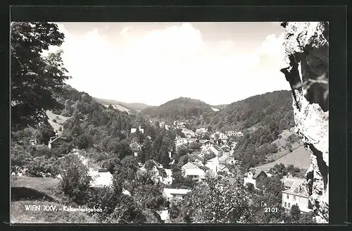 AK Kaltenleutgeben, Partie im Gebirge