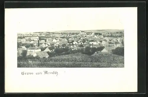 AK Misslitz, Totale von der Bergwiese gesehen