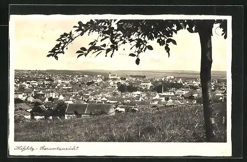 AK Misslitz, Panoramablick von der Bergwiese