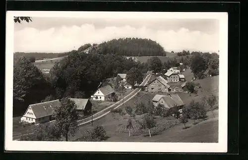 AK Kunvald, Strasse im Ort mit Wohnhäusern