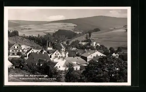 AK Giesshübel im Adlergebirge, Totalansicht mit Hügellandschaft