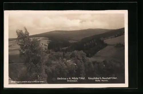 AK Giesshübel b. Neustadt, Ansicht der Hohen Mense