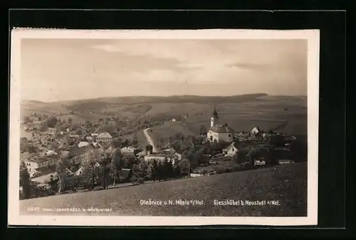AK Giesshübel b. Neustadt, Teilansicht mit Kirche und Umgebung