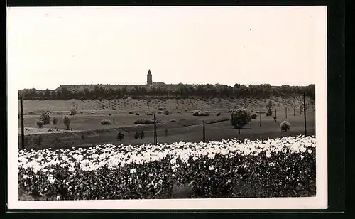 AK Josefstadt / Josefov / Jaromer, Aussicht von einer Blumenwiese aus