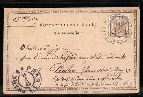 Lithographie Tynec nad Labem, Celkový pohled, Hrad, Namesti, Vila Pernerova