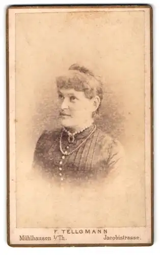 Fotografie F. Tellgmann, Mühlhausen i. Th., Jacobistrasse, Portrait bürgerliche Dame mit Hochsteckfrisur