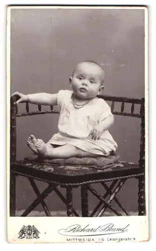 Fotografie Richard Brand, Mittweida i. S., Leisnigerstrasse 4, Portrait süsses Kleinkind im weissen Hemd