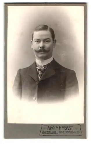 Fotografie Adolf Herbst, Wolfenbüttel, Langeherzogstrasse 38, Portrait eleganter Herr mit Schnauzbart