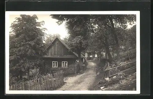 AK Rusava, Strassenpartie mit Holzhaus