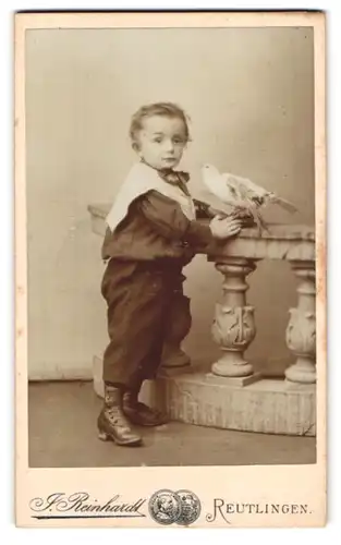 Fotografie J. Reinhardt, Reutlingen, Portrait kleiner Knabe im Anzug mit ausgestopftem Vogel im Atelier