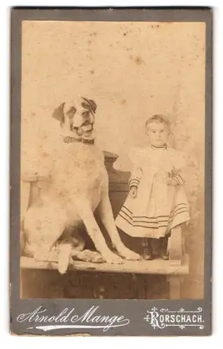 Fotografie Arnold Mange, Rorschach, Kronenstr., Portrait süsses Mädchen im weissen Kleid mit grossen Hund auf der Bank