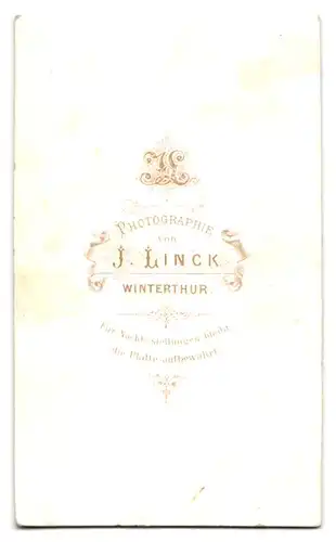 Fotografie J. Linck, Winterthur, Portrait ältere Dame im hochgeschlossenen Kleid mit Brosche