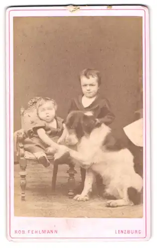 Fotografie Rob. Fehlmann, Lenzburg, Portrait zwei kleine Kinder im Atelier mit gefleckten Hund der Pfötchen gibt