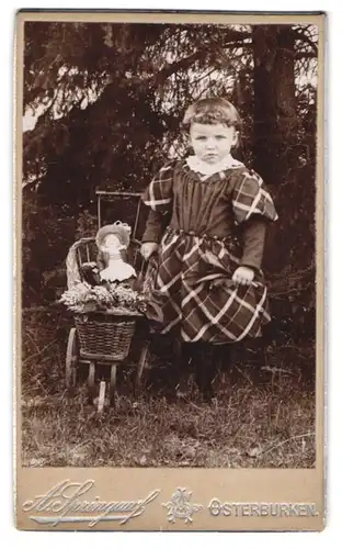 Fotografie A. Springauf, Osterburken, Portrait Mädchen im karierten Kleid mit Puppe und Puppenwagen