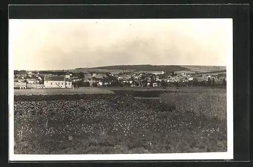 AK Horni Dunajovice, Panorama