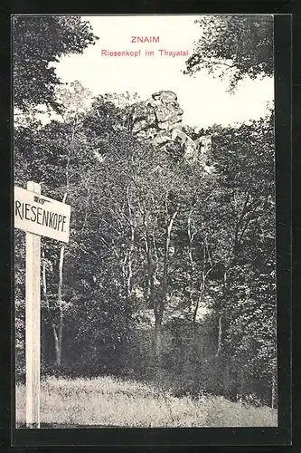 AK Znaim, Riesenkopf im Thayatal