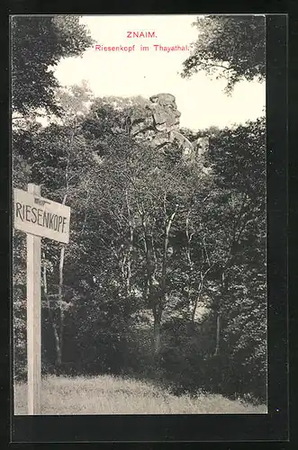 AK Znaim, Riesenkopf im Thayathal