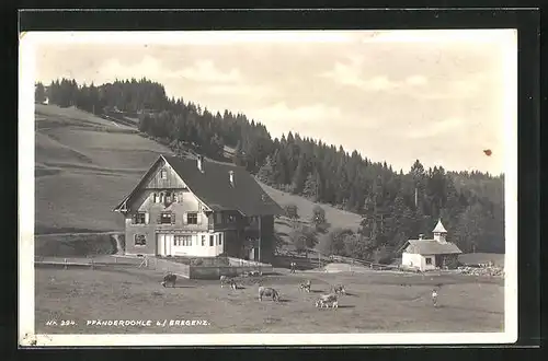 AK Pfänderdohle bei Bregenz, Bauernhof, Kapelle, Kühe